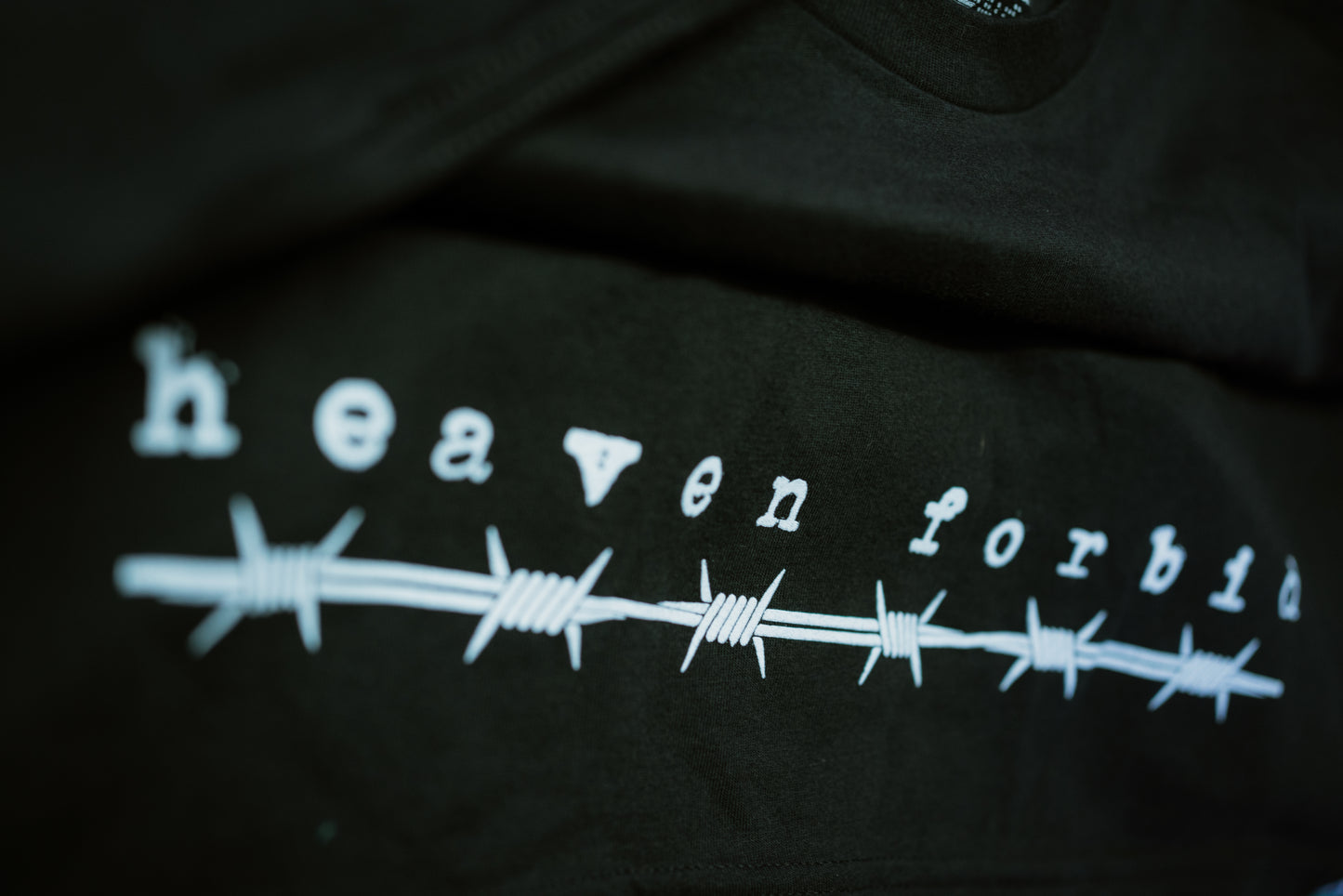 DxD T-Shirt